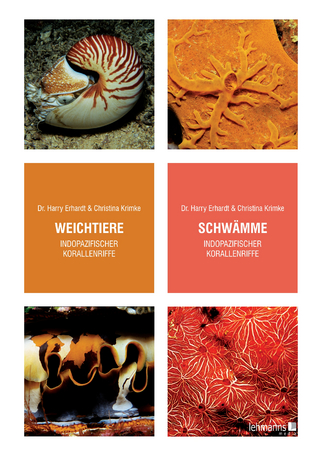 Weichtiere, Schwämme