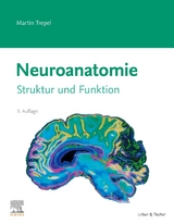 Neuroanatomie - Trepel, Martin